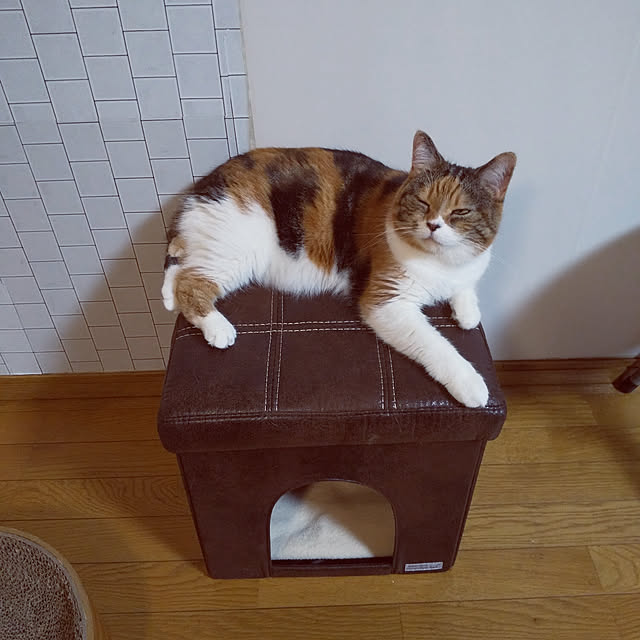 yukieさんの実例写真