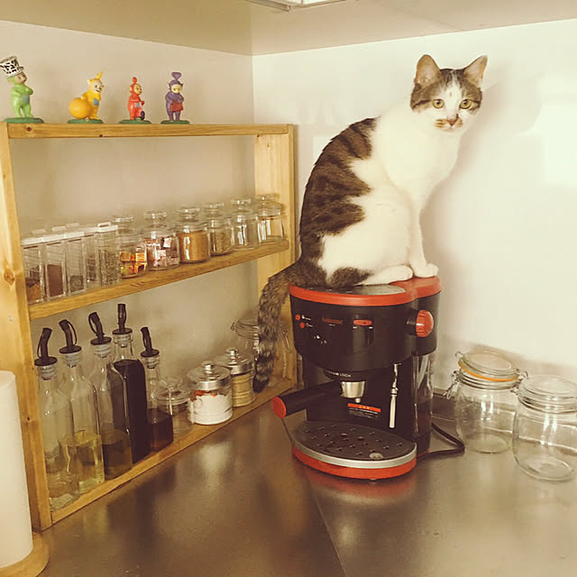 sattyさんの実例写真