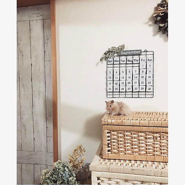 emiさんの実例写真