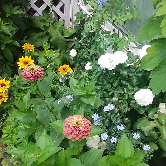 yukkoさんの実例写真