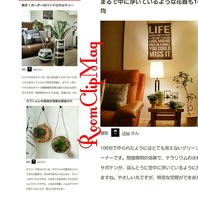 chieさんの実例写真