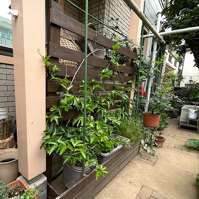 botanさんの部屋