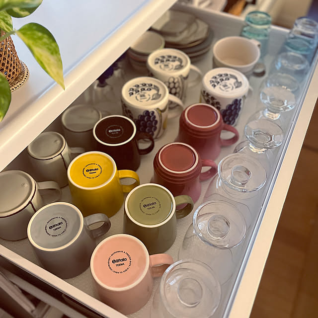 イッタラ iittala タンブラー グラス アイノアールト 220mL ペア イッタラ iittala タンブラー グラス アイノアールト 220mL ペア