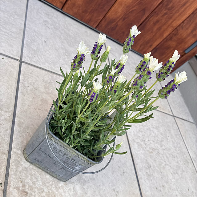 ayayayayaさんの部屋