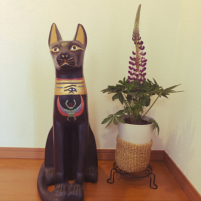 monさんの実例写真