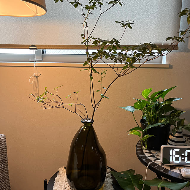 piccoさんの実例写真