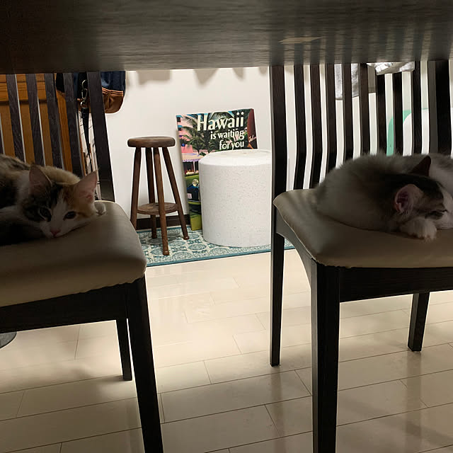belleさんの実例写真