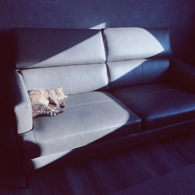 c-tpclubさんの実例写真