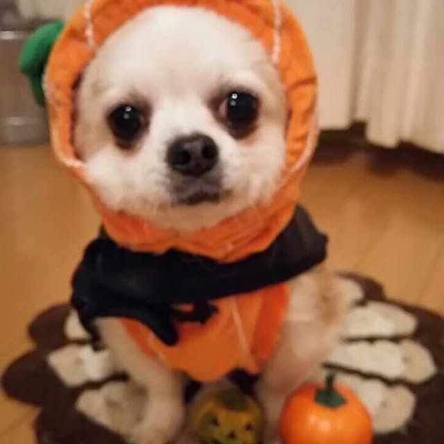 Riiriさんの実例写真