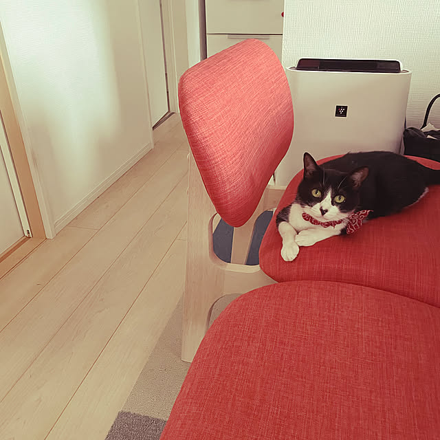 sioppiさんの実例写真