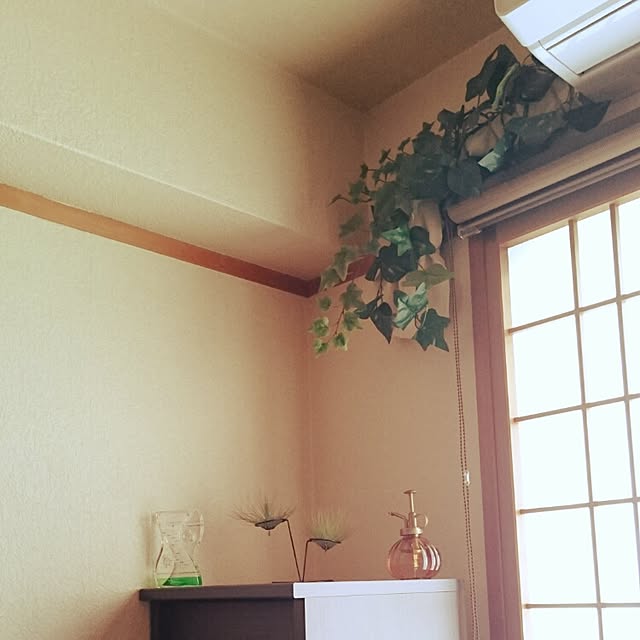 PEKOさんの実例写真