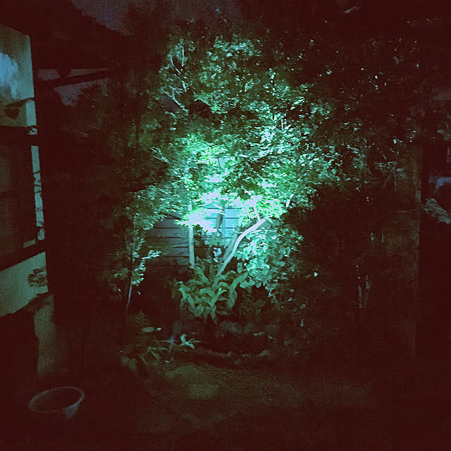 miyaken2019さんの実例写真