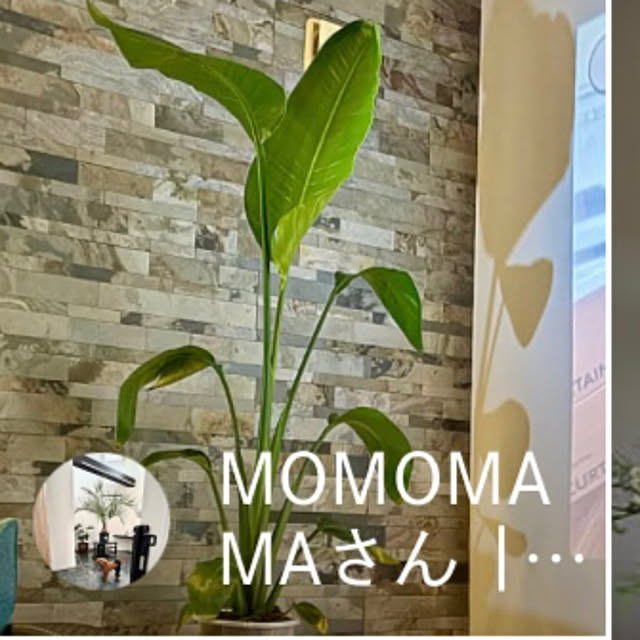 MOMOMAMAさんの部屋