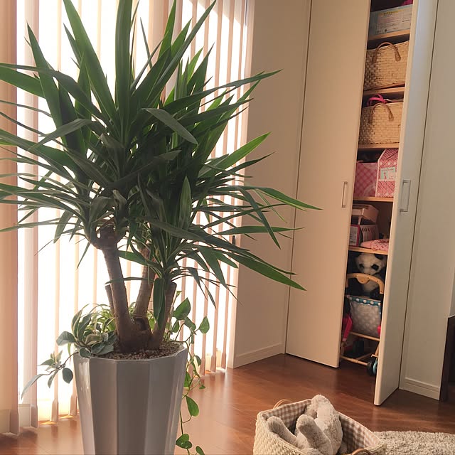 menさんの実例写真
