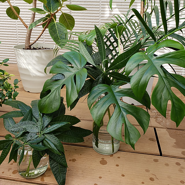 部屋全体のインテリア実例 - 2019-11-29 10:04:22