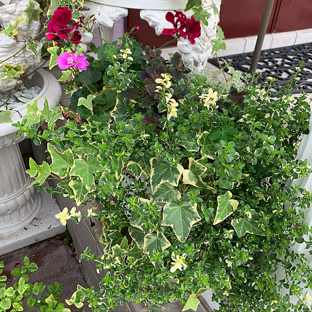 AYUKOさんの実例写真