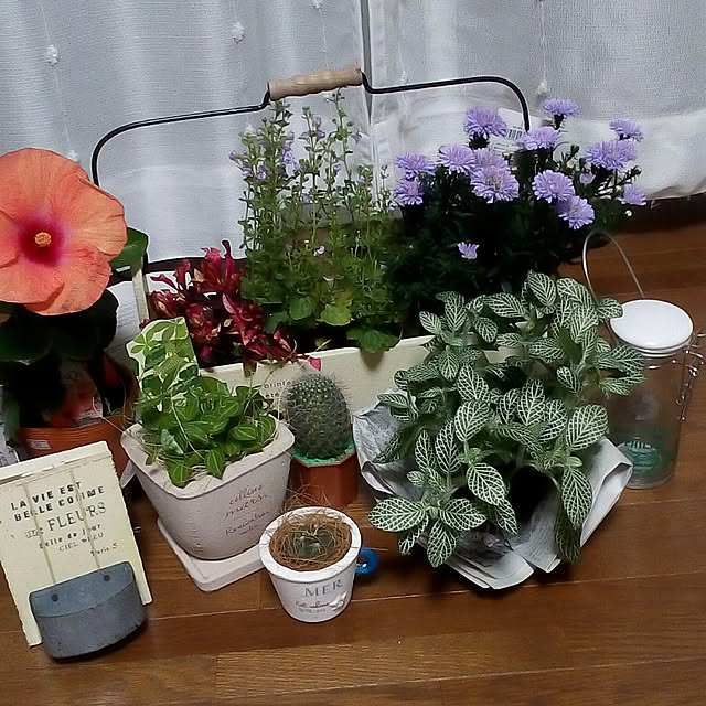 mariagardenさんの実例写真