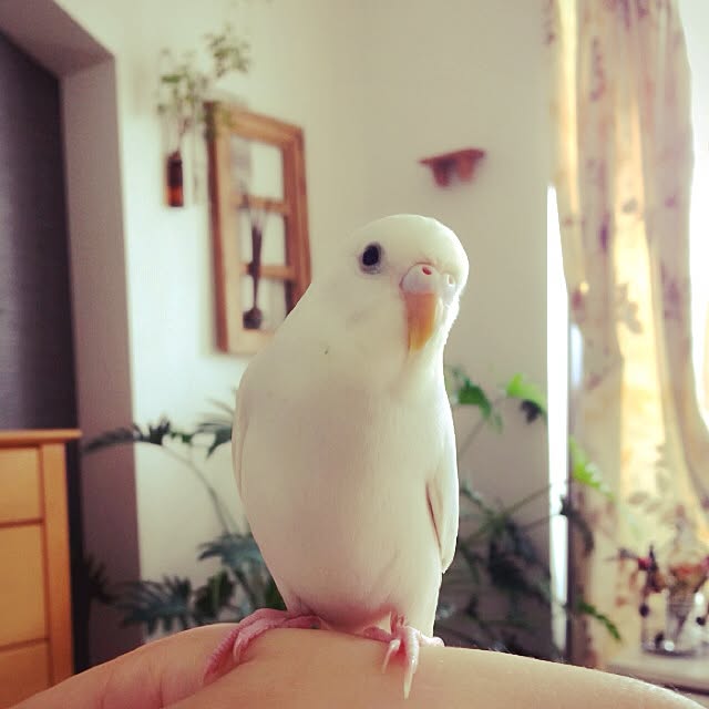 reko639さんの実例写真