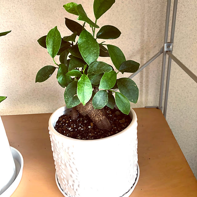 hanachanさんの部屋