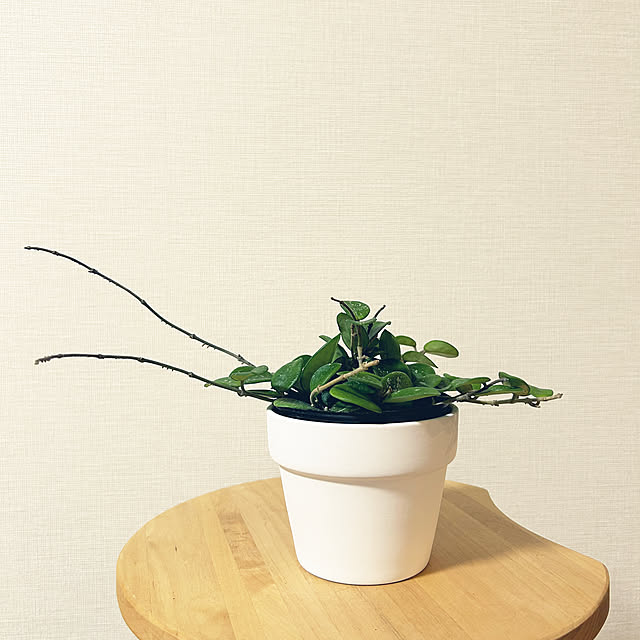 yoyoyoさんの部屋