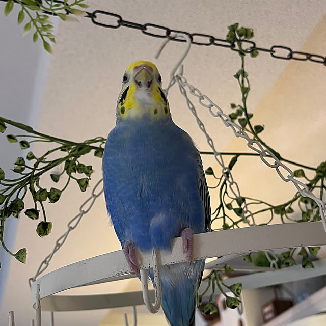 Atsukoさんの部屋