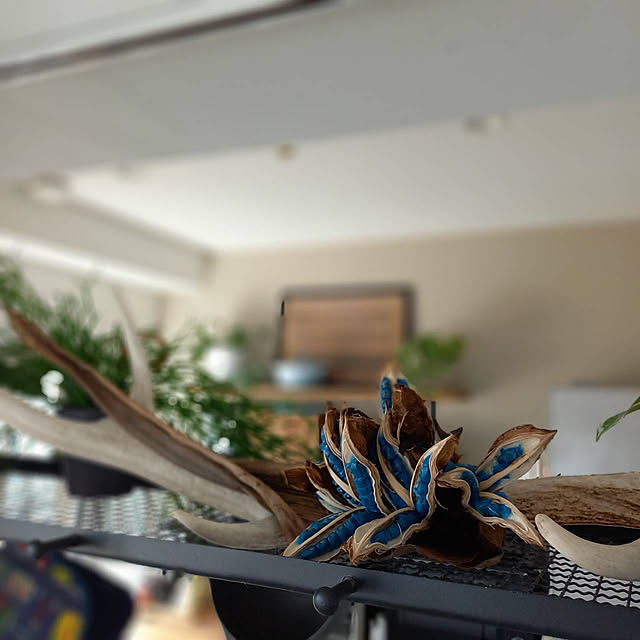 Rさんの部屋