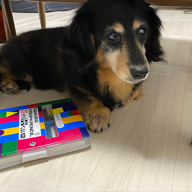 ohanaさんの実例写真