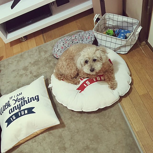 yukarimamaさんの実例写真