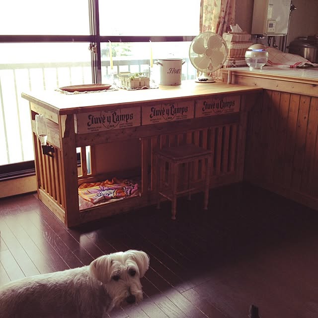 chiipuさんの実例写真