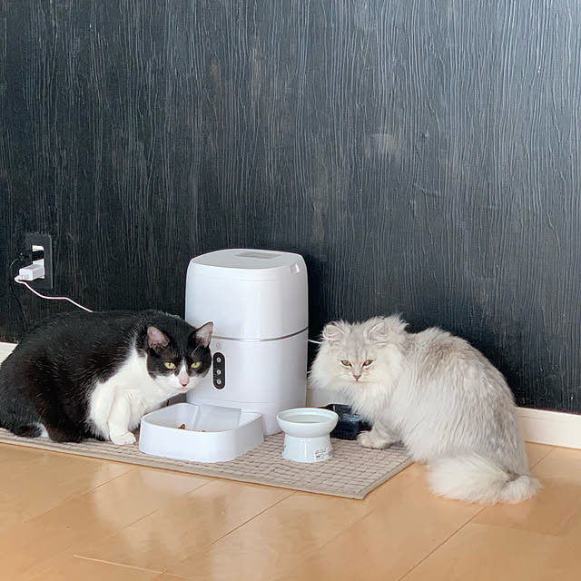 Evenさんの実例写真