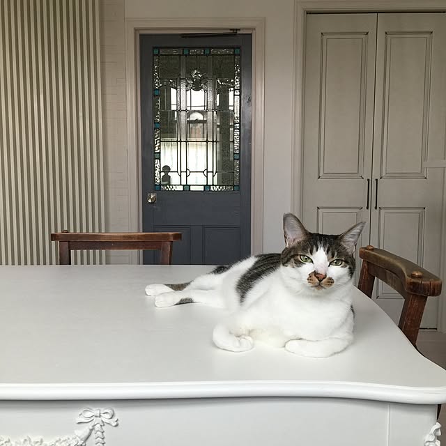 yuchiさんの実例写真