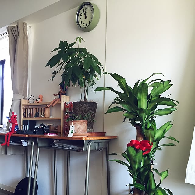 Takumaさんの実例写真