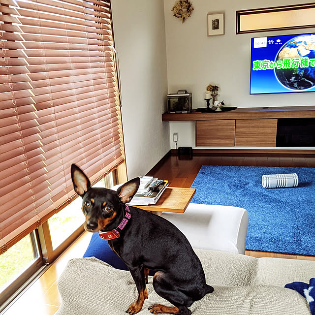 shizuponさんの実例写真