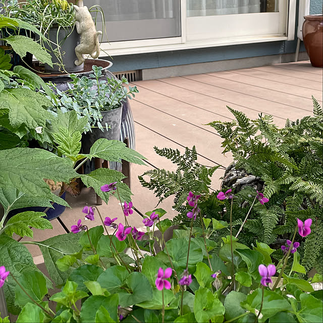 nobikoさんの部屋