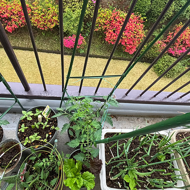 syutmmさんの部屋