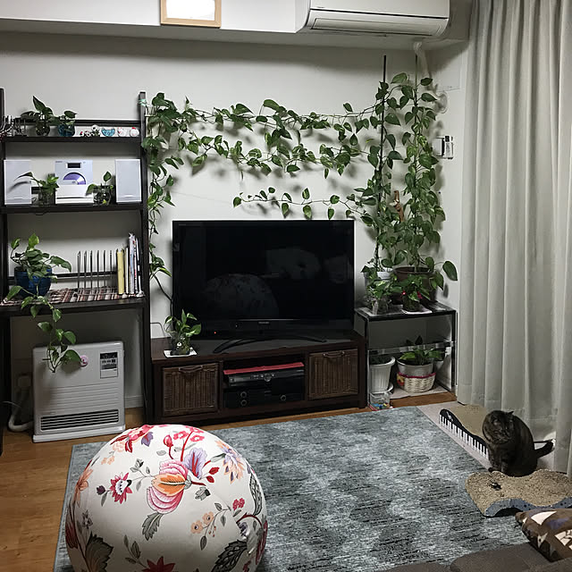 maruさんの実例写真