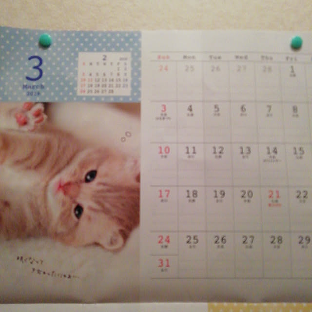 Tomopさんの実例写真