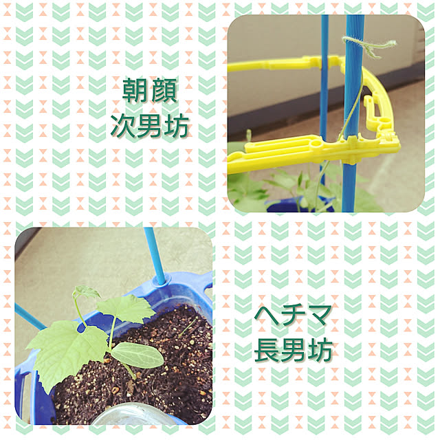 ToReTaRiさんの実例写真