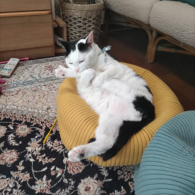 yuuさんの実例写真