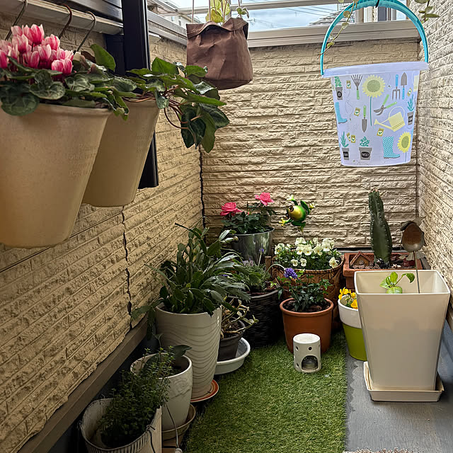 Toyomiさんの部屋