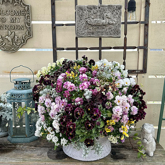 komakiさんの実例写真