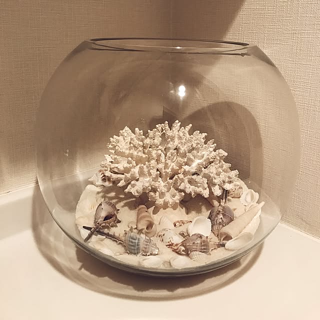 サンゴのオブジェ(2色展開)(64240-64241) 【 オブジェ サンゴのオブジェ(2色展開)(64240-64241) 【 オブジェ
