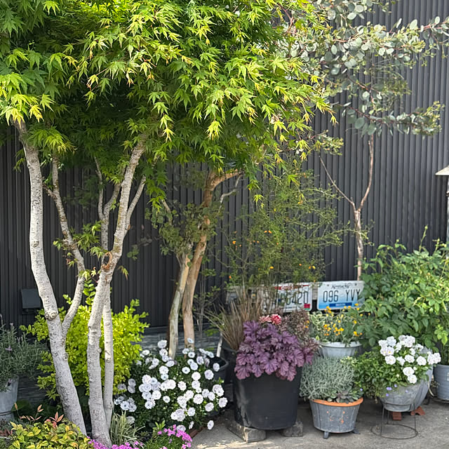 Tomokoさんの実例写真