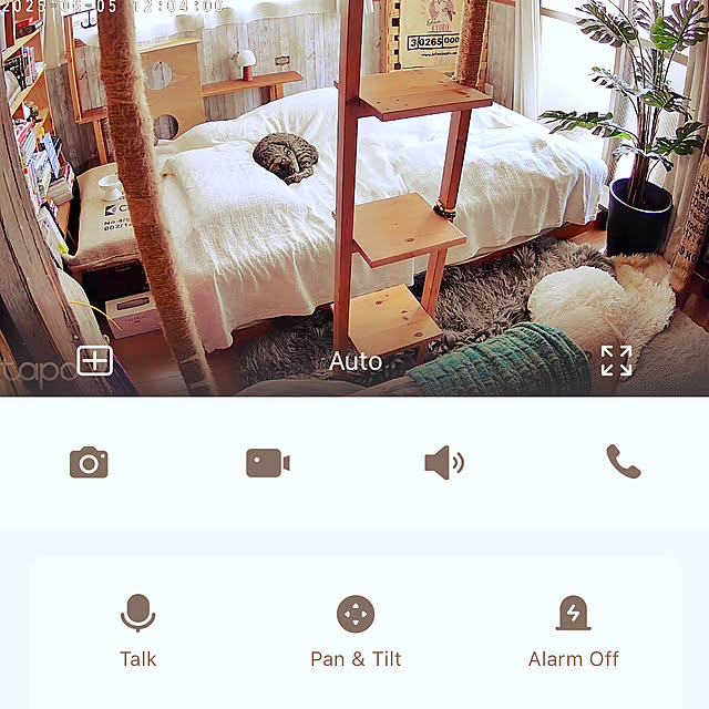 Mさんの実例写真