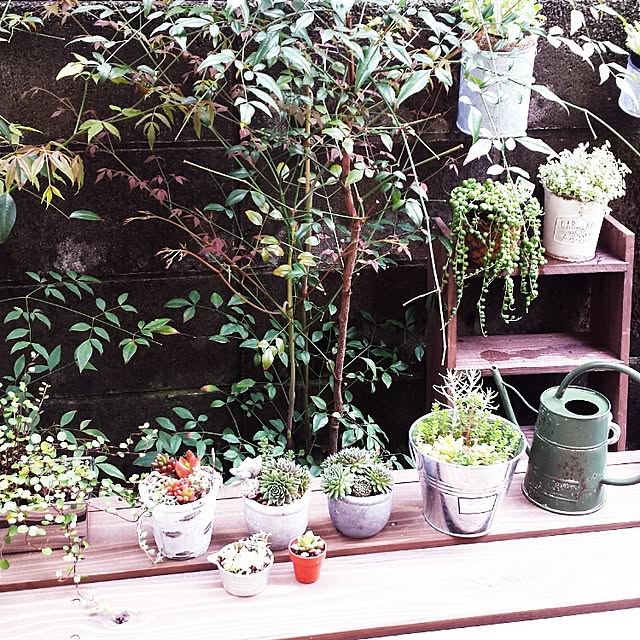 himegonさんの実例写真