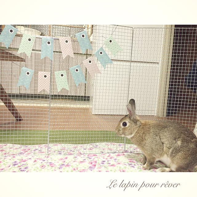 mashiさんの実例写真