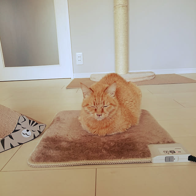 hanacocoさんの実例写真