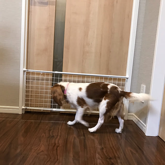 Ran.Happyさんの実例写真