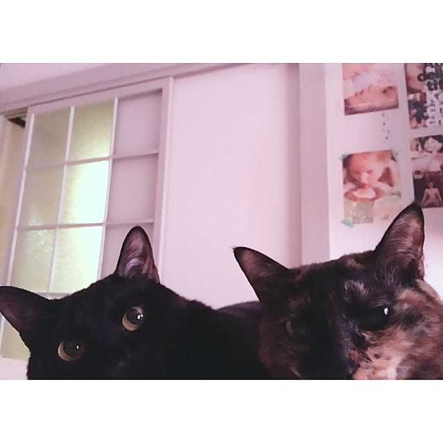 hilaさんの実例写真