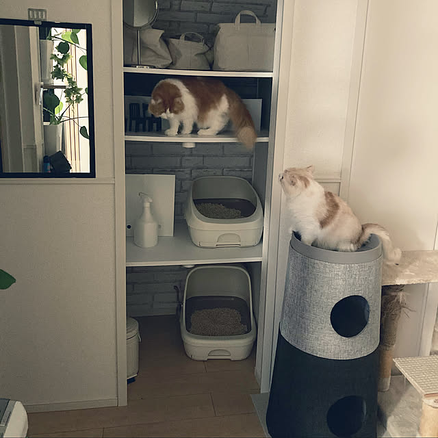H.Tさんの実例写真